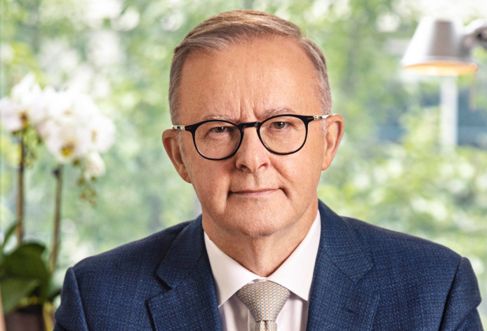 Anthony Albanese profile picture